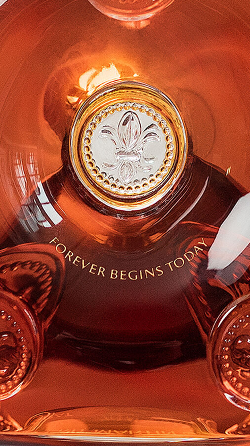 Rémy Martin Louis XIII Visit, Tasting & Lunch in Cognac France
