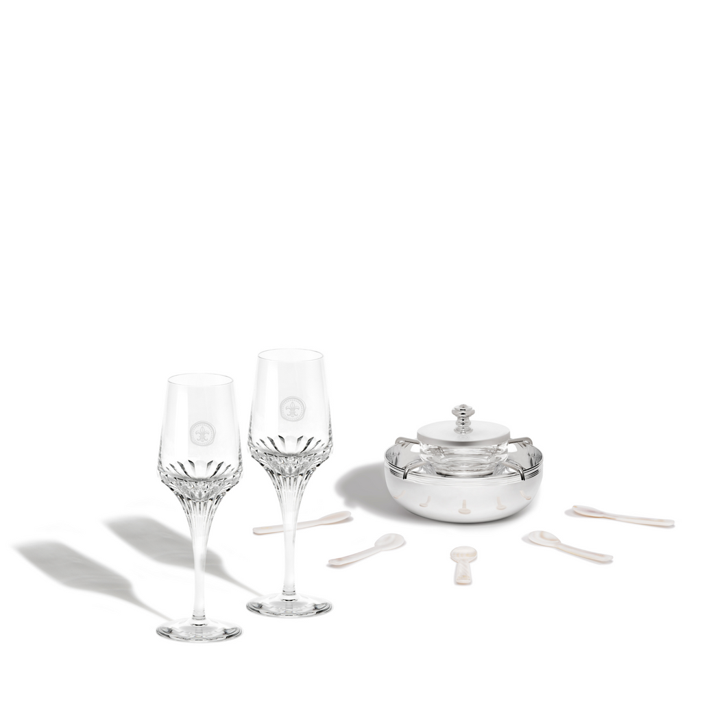 LOUIS XIII GLASSES ( Coffret Pillet V3) LXIII Crystal Glass by